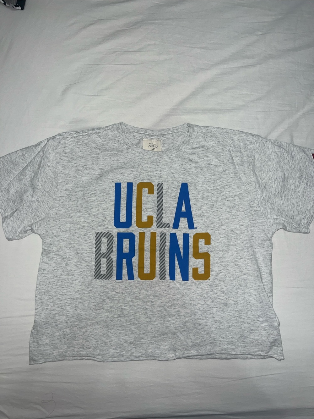UCLA Bruins Crop Top